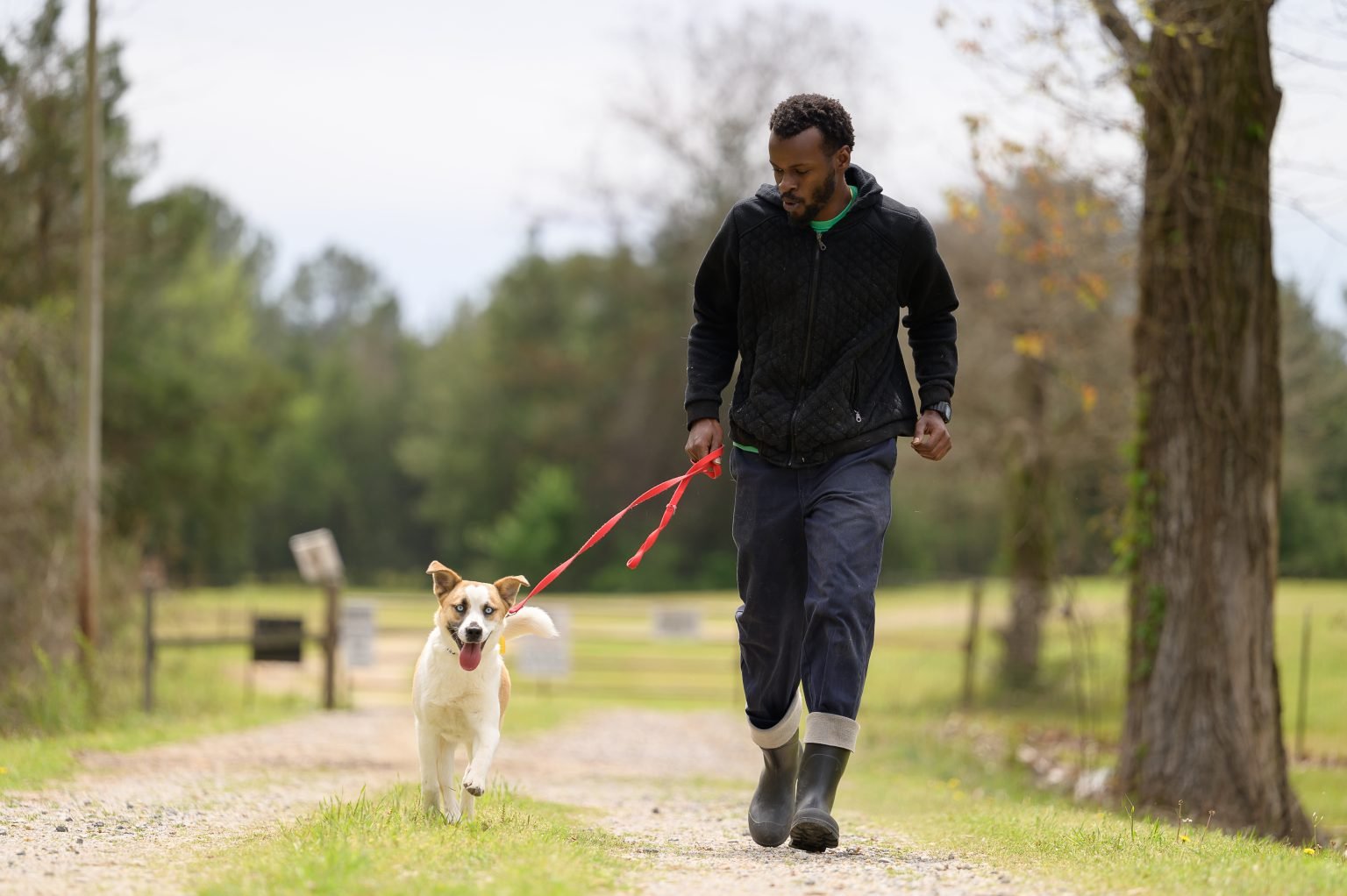 Volunteer walking with assistance dog
